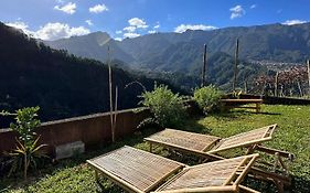 The Passion Fruit House